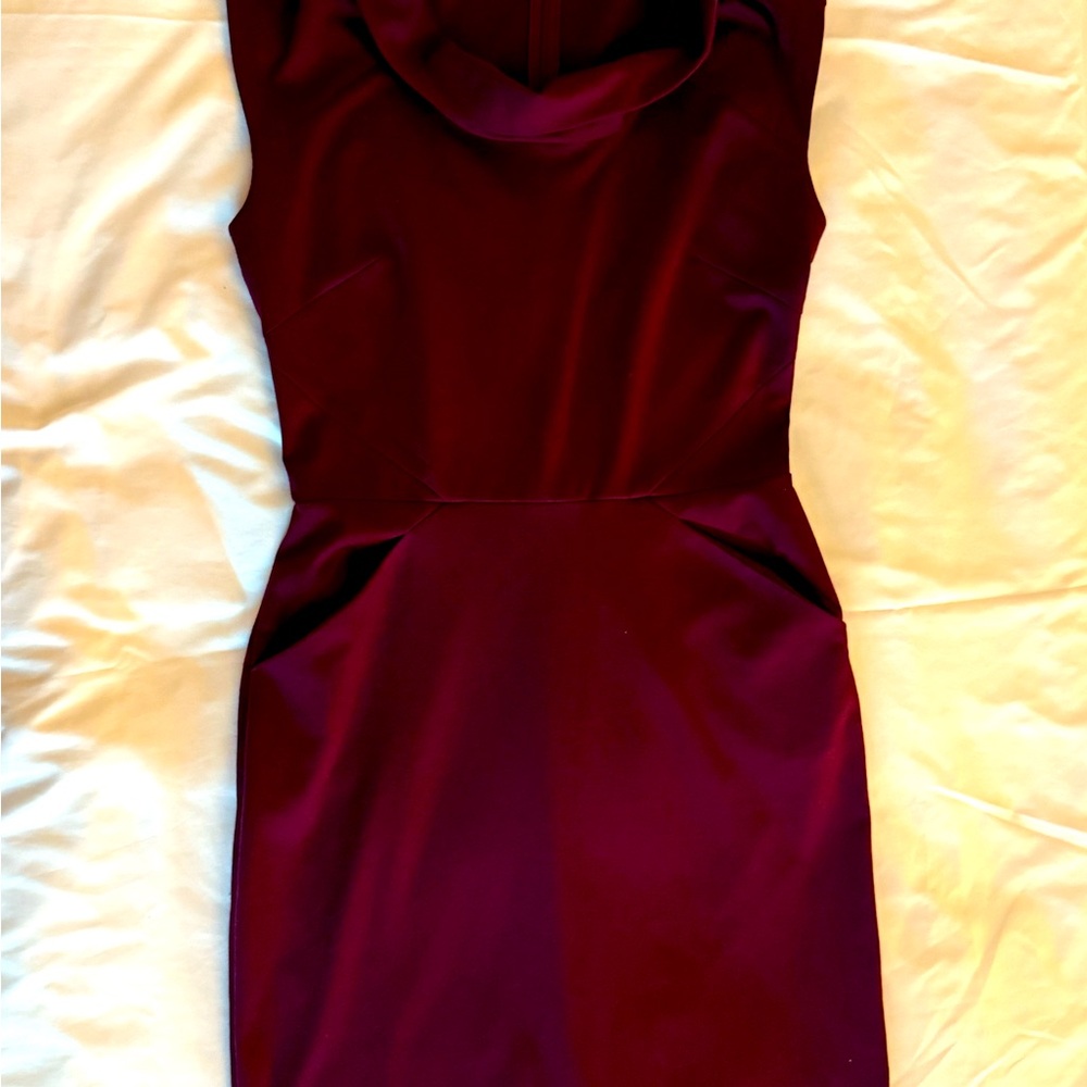 Banana Republic Rich Burgundy Mini Dress